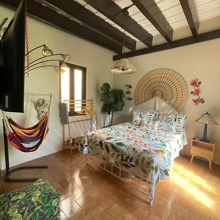 The Garden Apartment, The Willow Apartment, & The Tropical Apartment At Casa Of Essence In Old سان خوان المظهر الخارجي الصورة
