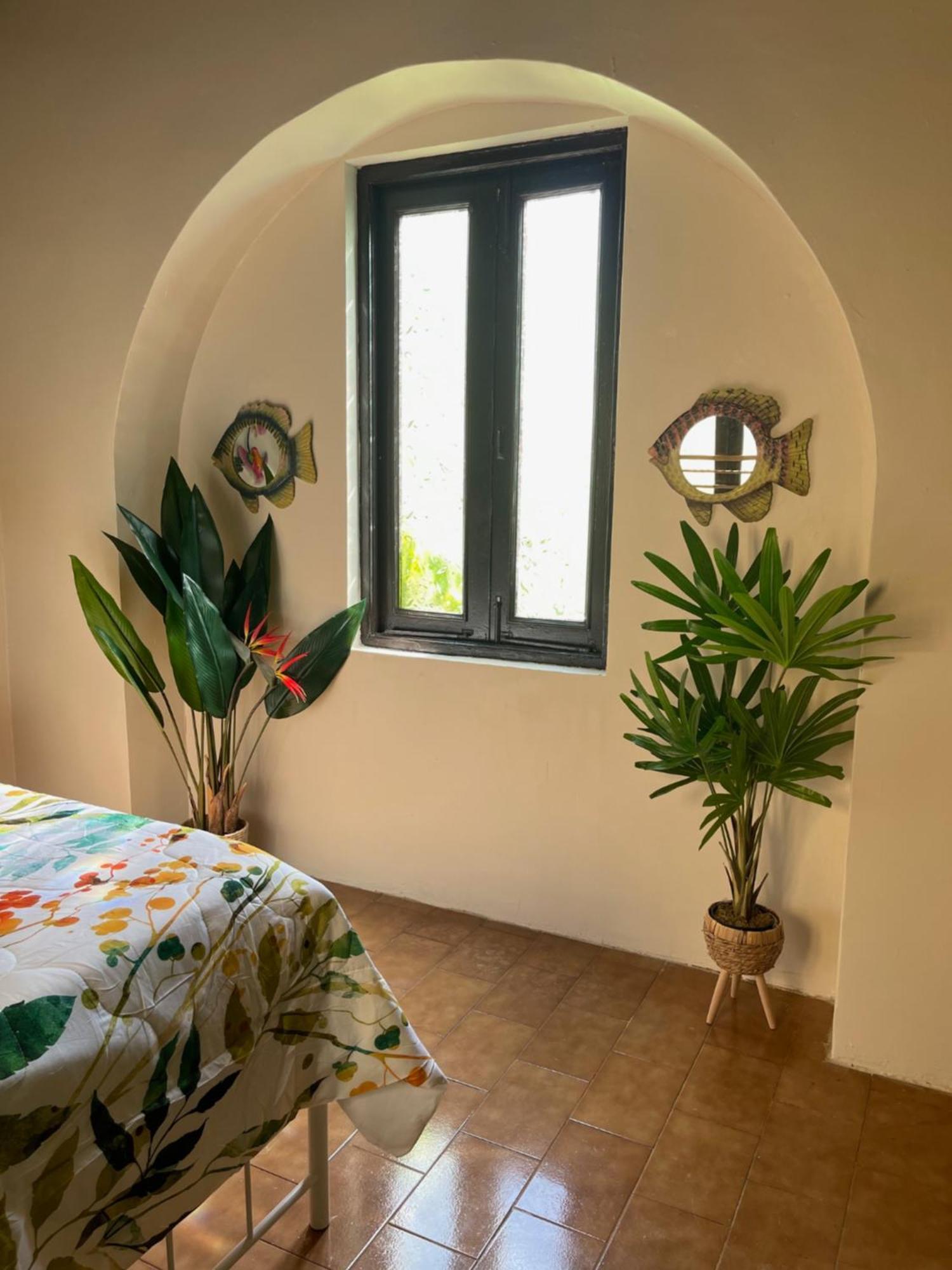 The Garden Apartment, The Willow Apartment, & The Tropical Apartment At Casa Of Essence In Old سان خوان المظهر الخارجي الصورة